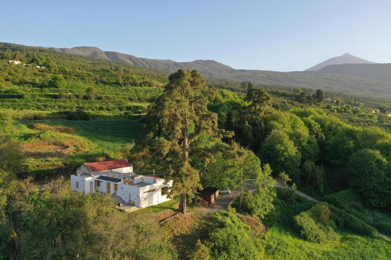 Xalet El Pino Centenario 4 Los Realejos
